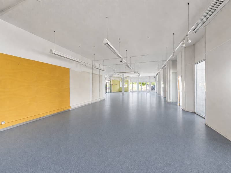 PLAIN-PIED - SURFACE COMMERCIALE & INDUSTRIELLE (3)