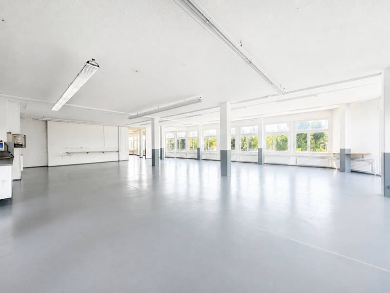 GRAND-LAUSANNE - SURFACE COMMERCIALE & INDUSTRIELLE (1)