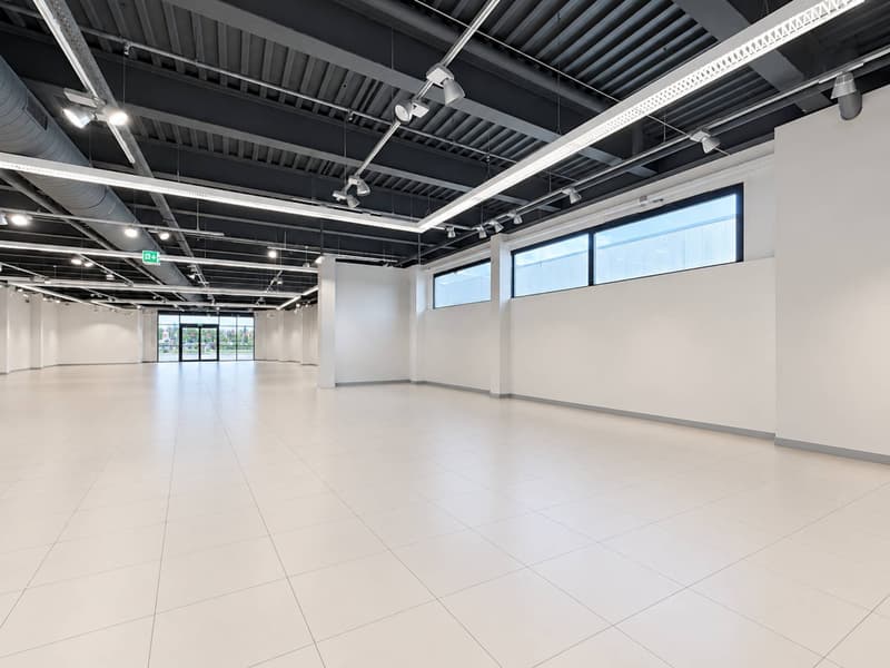 LOCAL COMMERCIAL  946 M² - EXCELLENTE VISIBILITE (4)