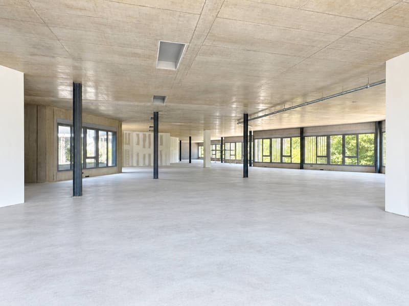 1'600 M² INDUSTRIAL & R&D SPACE - GREATER LAUSANNE (2)