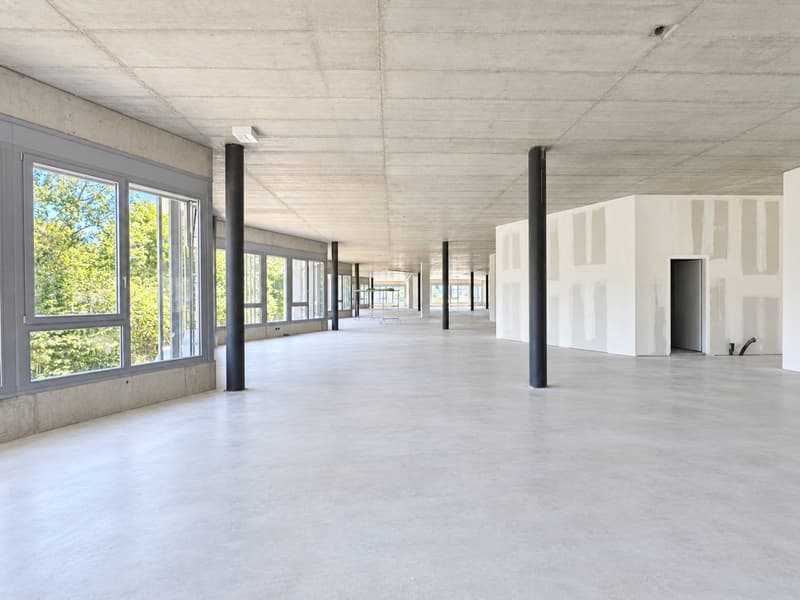 1'600 M² INDUSTRIAL & R&D SPACE - GREATER LAUSANNE (1)
