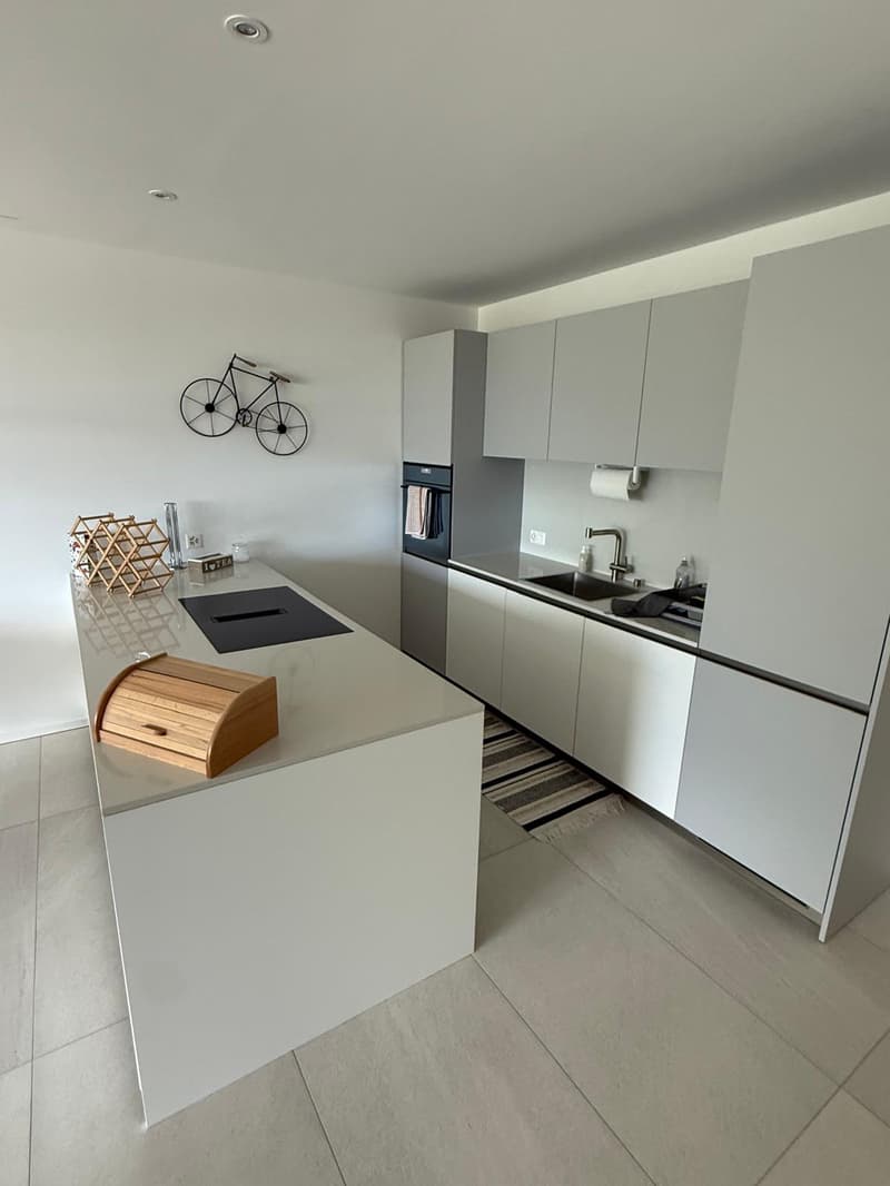 Appartamento di 72 m² con ampia terrazza e splendida vista lago a Minusio (4)
