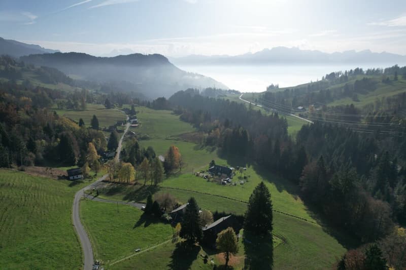 Beautiful Chalet (5)