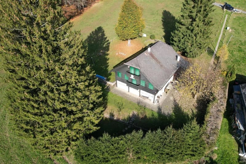 Beautiful Chalet (18)