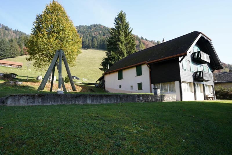 Beautiful Chalet (3)