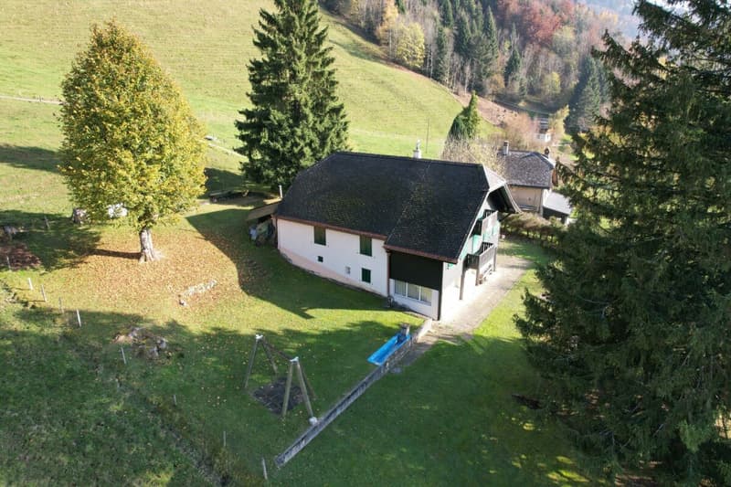 Beautiful Chalet (7)