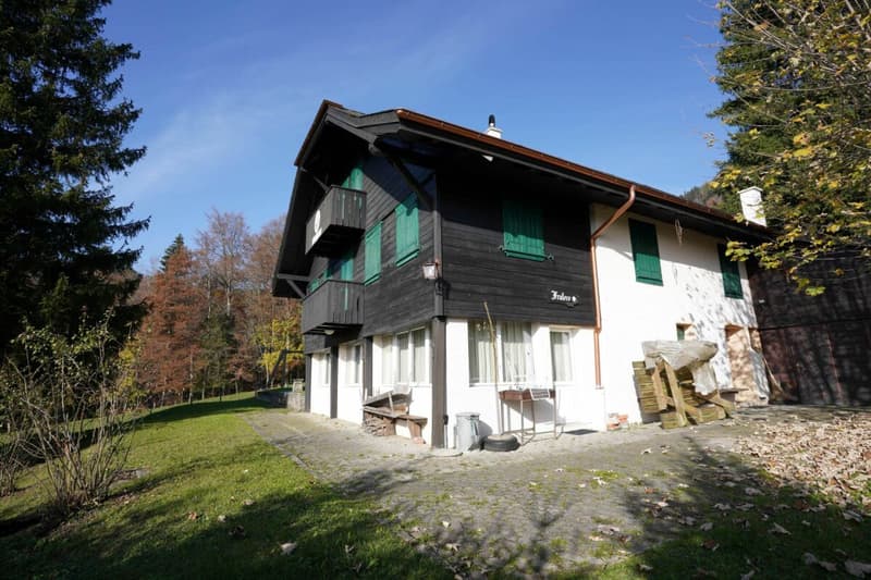 Beautiful Chalet (9)