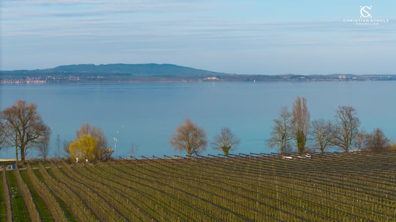 Landwirtschaftszone bis zum Bodensee