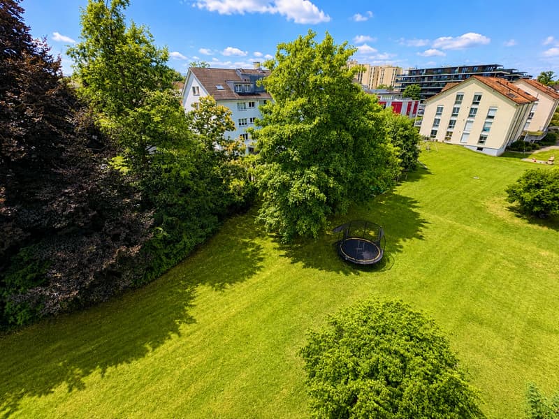 6Blick in den Garten
