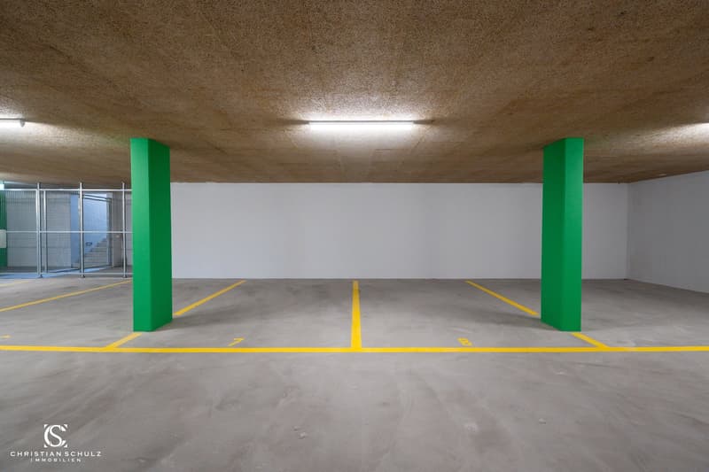 Grosszügiges Neubauhaus mit Einliegerwohnung in Panoramalage – Helsighausen (TG) (18)