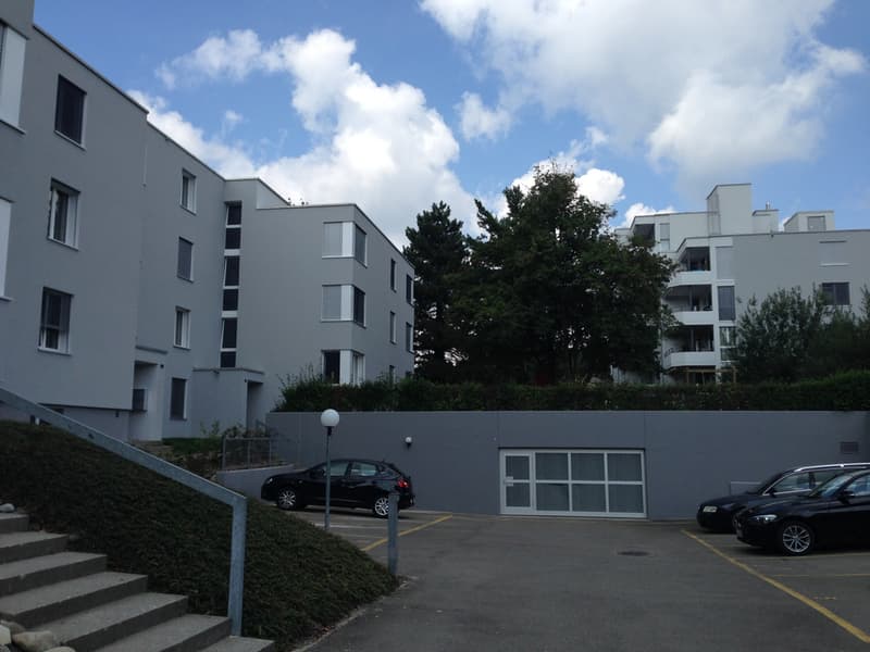 Aussenansicht_Rotbuchstrasse_und_Riedweg.jpg