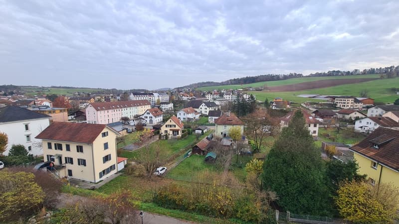 Aerial view of houses in a village, red roofs, green surroundings, several houses with different sizes and styles.