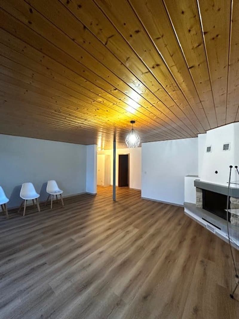 Living room: wooden floor, fireplace, chandelier, empty