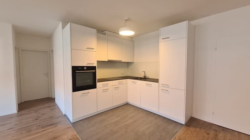 modern kitchen with white cabinets, wooden floor, black oven, sink, faucet, power outlet, light