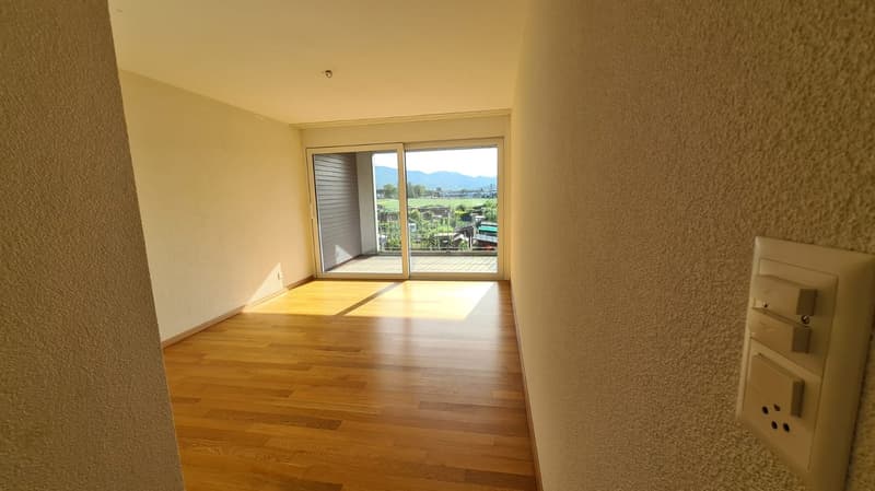 Magnifiques appartements de 5.5 pièces avec vue dégagée à Delémont (7)