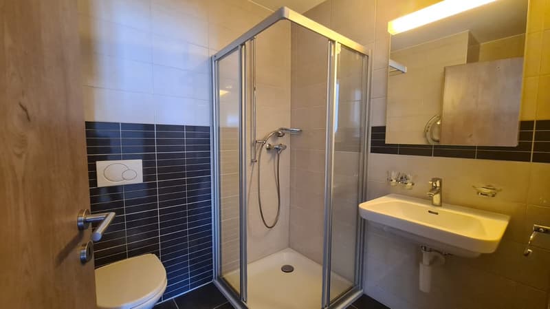 Magnifiques appartements de 5.5 pièces avec vue dégagée à Delémont (11)