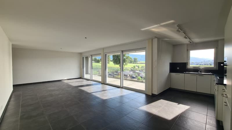 Magnifiques appartements de 5.5 pièces avec vue dégagée à Delémont (3)