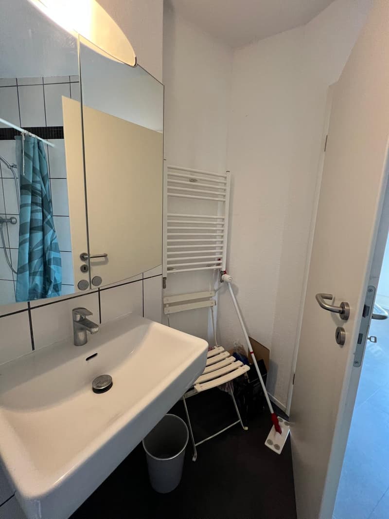 Sink, mirror, cabinet, shower curtain, washing machine