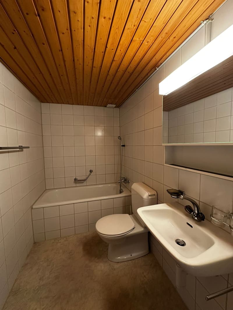 Bathroom with bathtub, toilet, sink, and mirror