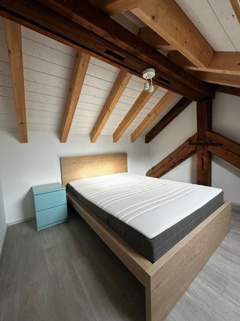 Joli studio meublé avec mezzanine (7)