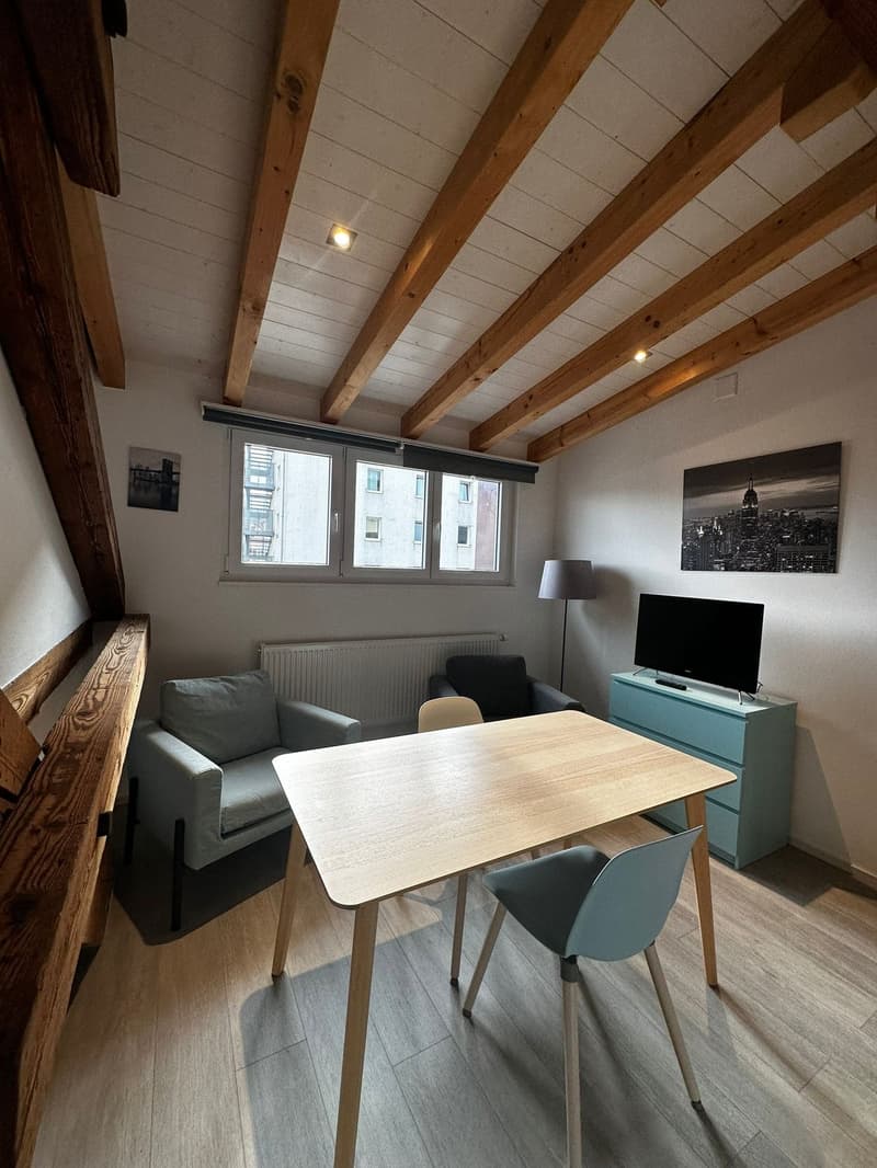 Joli studio meublé avec mezzanine (4)