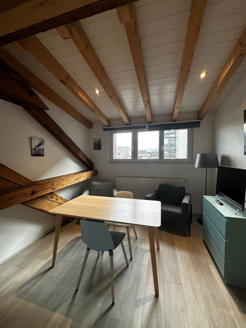Joli studio meublé avec mezzanine (3)