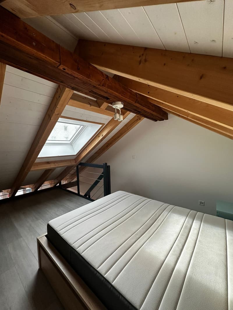 Joli studio meublé avec mezzanine (8)