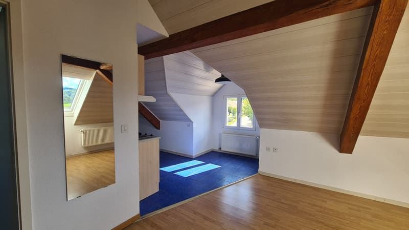 Charmantes Dachstudio zur Miete in Cornol (1)