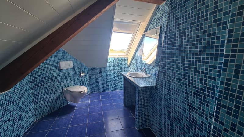 Charmantes Dachstudio zur Miete in Cornol (5)