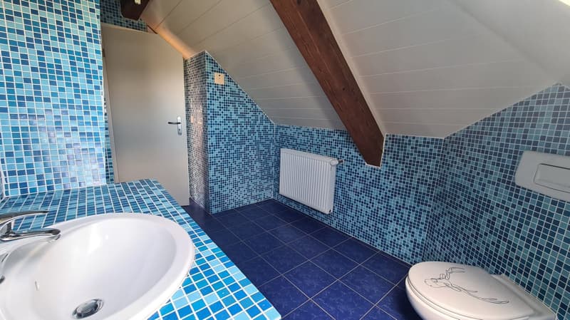 Charmantes Dachstudio zur Miete in Cornol (4)