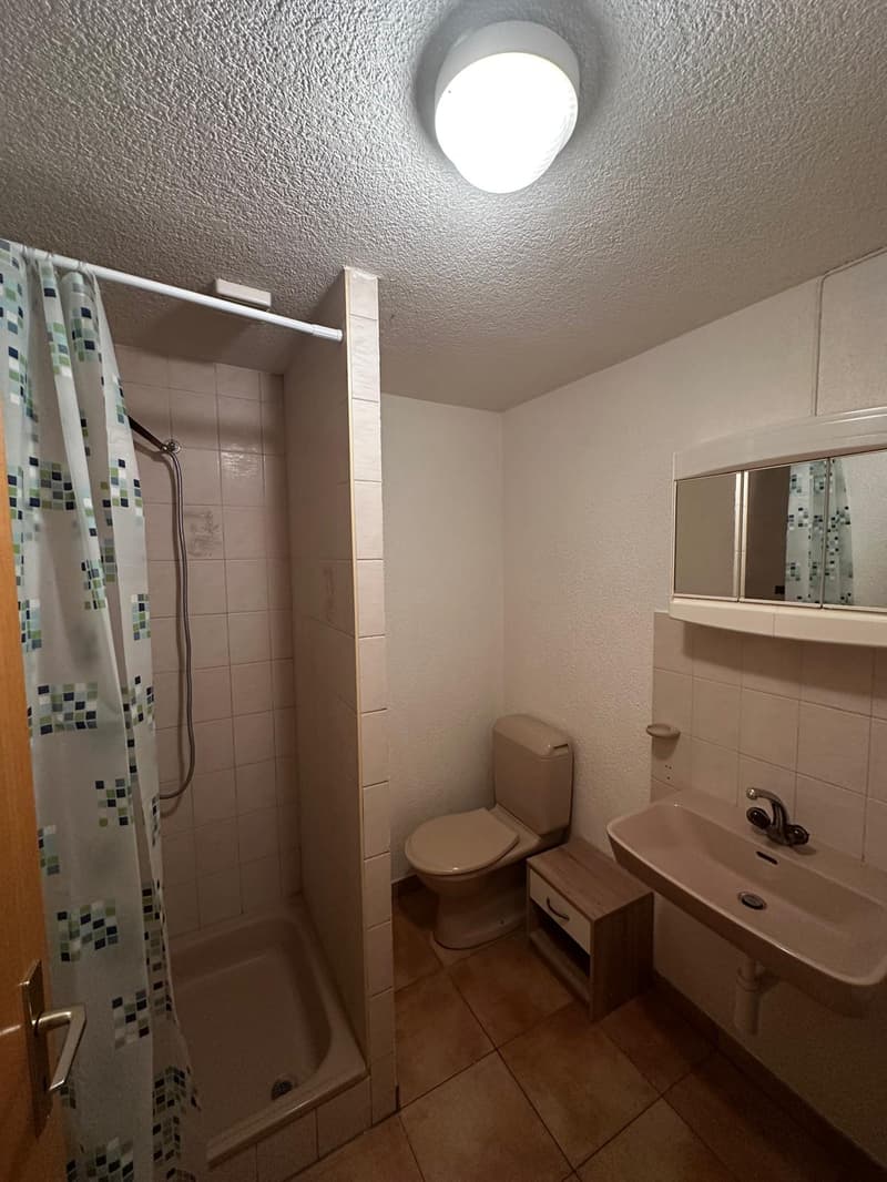 Kleines Apartment mit separatem Schlafzimmer zur Miete in Porrentruy (5)