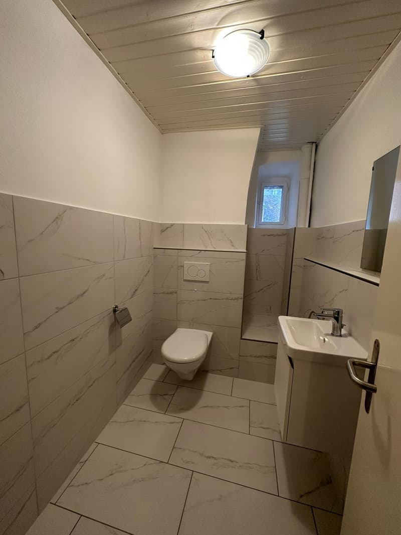 Geräumige 5.5-Zimmer-Wohnung in Porrentruy (8)