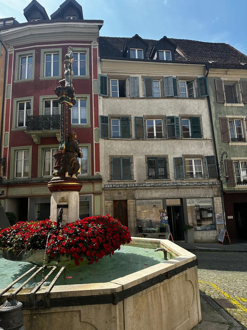 Appartamento di due locali in affitto nel cuore di Porrentruy (6)
