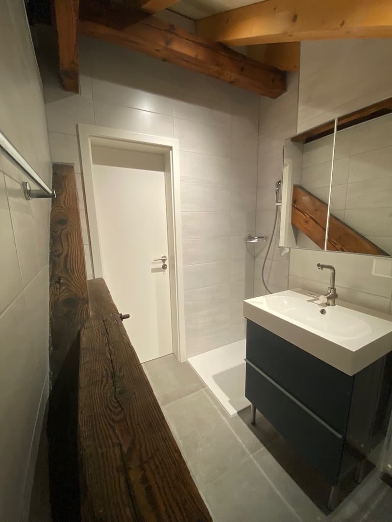 Schönes möbliertes Studio (4)