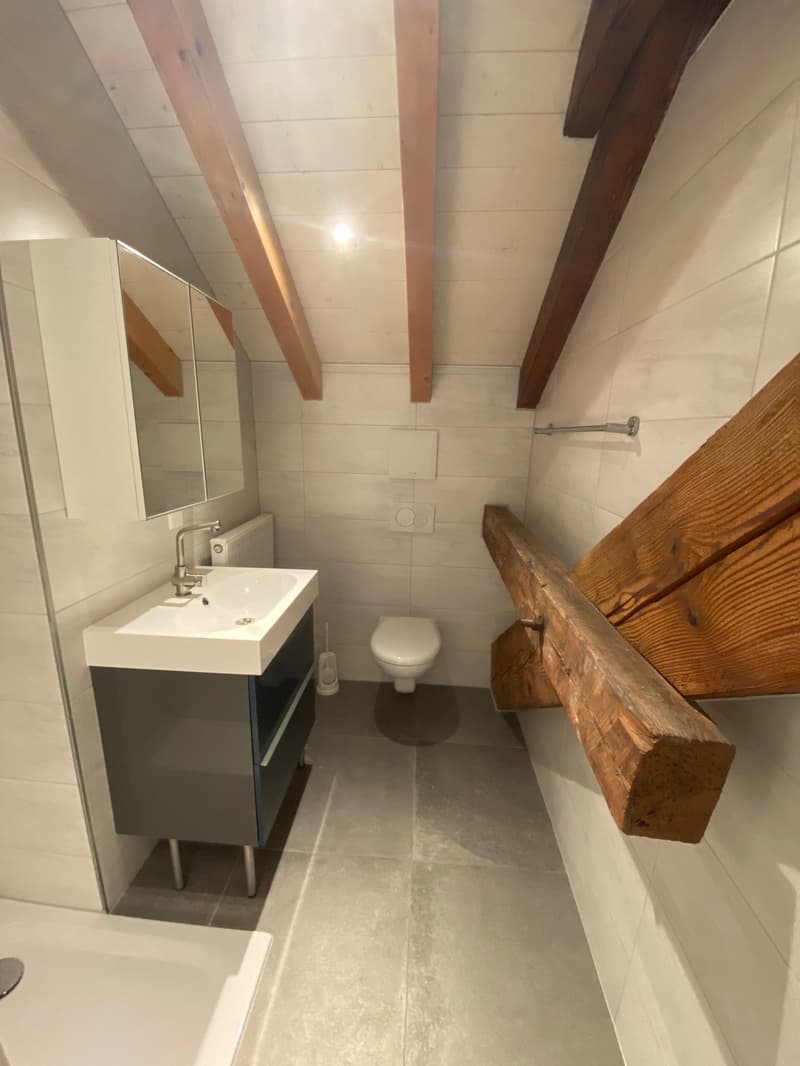 Schönes möbliertes Studio (3)
