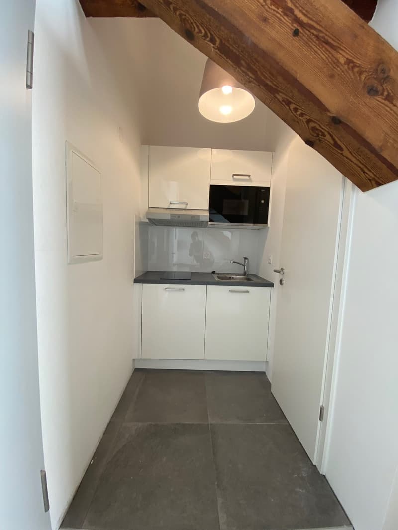 Schönes möbliertes Studio (5)