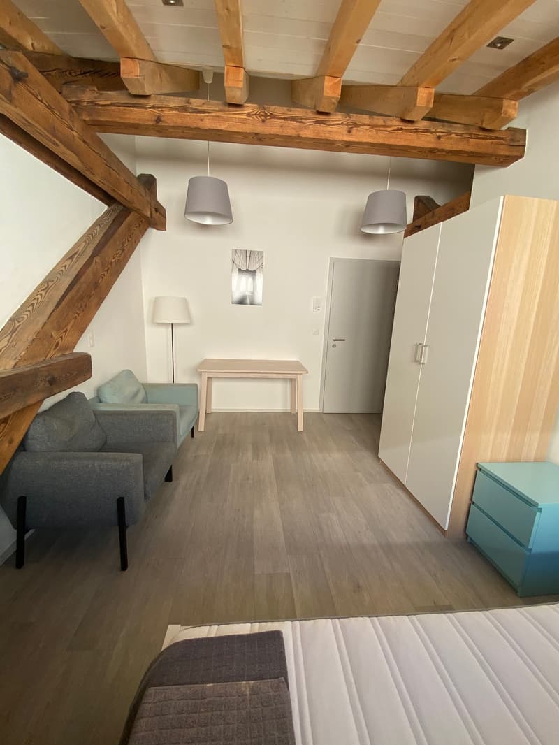 Schönes möbliertes Studio (2)
