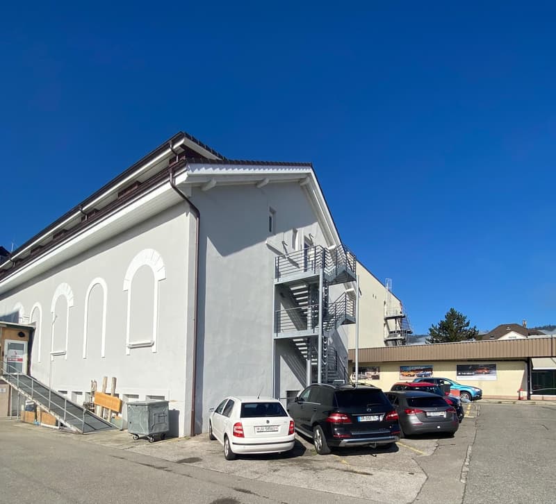 Schönes möbliertes Studio (7)