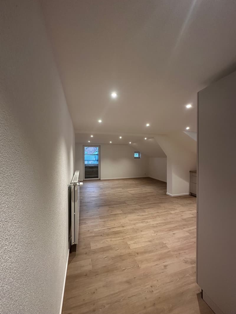 Spacieux appartement de 4,5 pièces rénové à Bévilard (5)