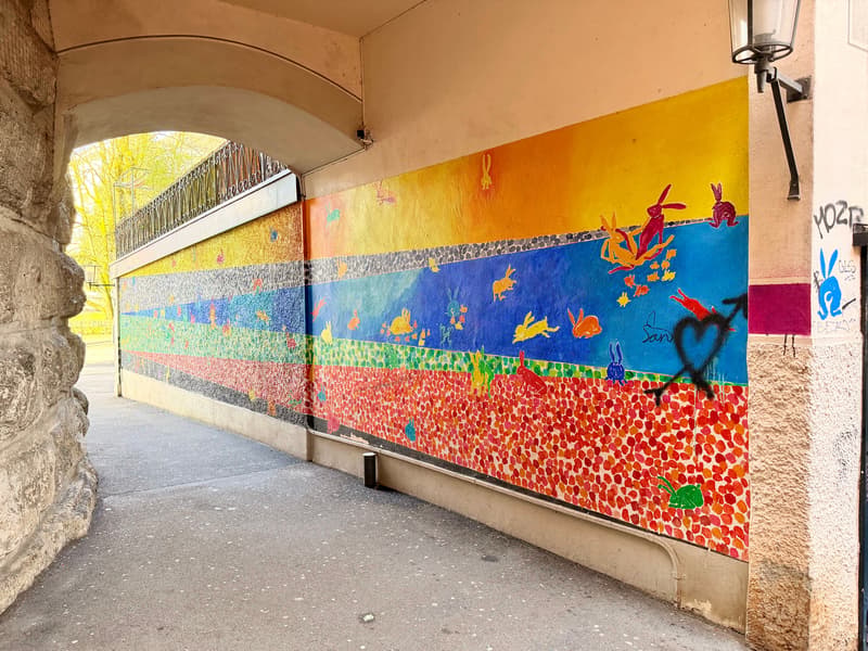 Cantina a volta nella città vecchia di Solothurn (11)