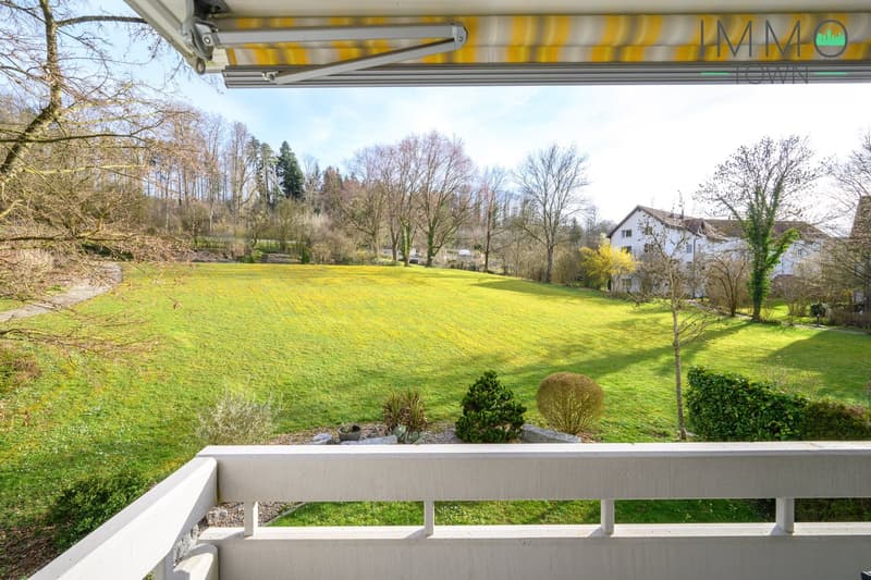 Spacious 4.5-room apartment with great views into the green and good connections (10)
