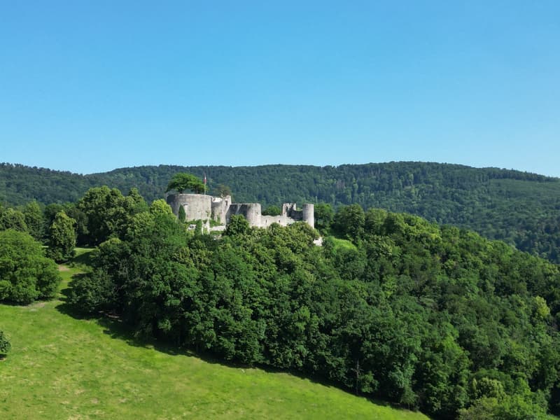 Attraktive Baulandparzelle mit Fernsicht am Schlossweg in Dornach (6)