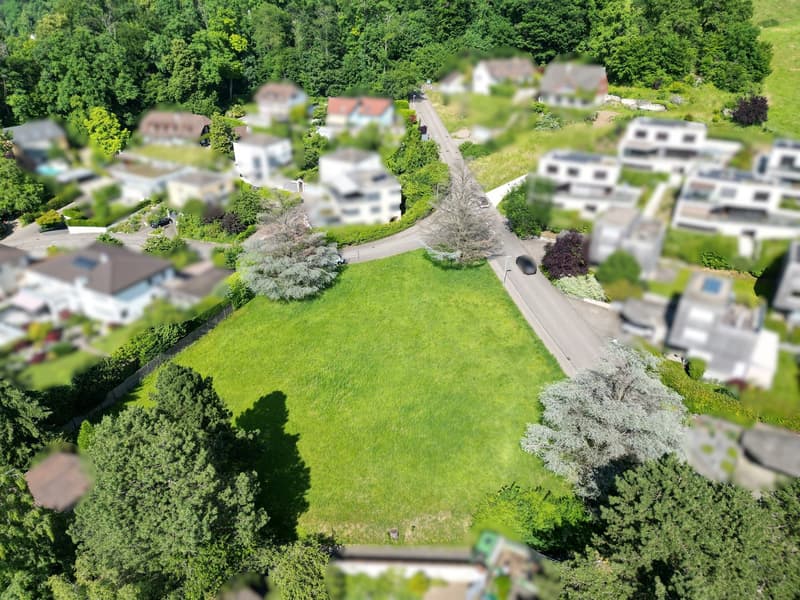 Empty plot of land with trees and grass, with houses and trees around it