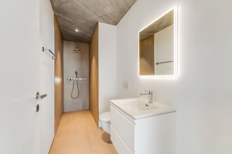 Living in old age - modern, barrier-free attic apartment with two spacious terraces (18)