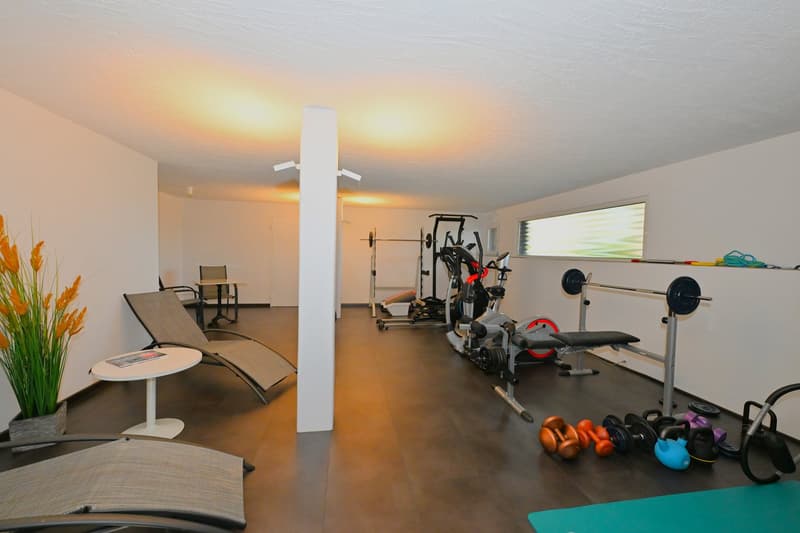 Spacious 5-room apartment with garage in an exclusive location on Bruderholz (13)