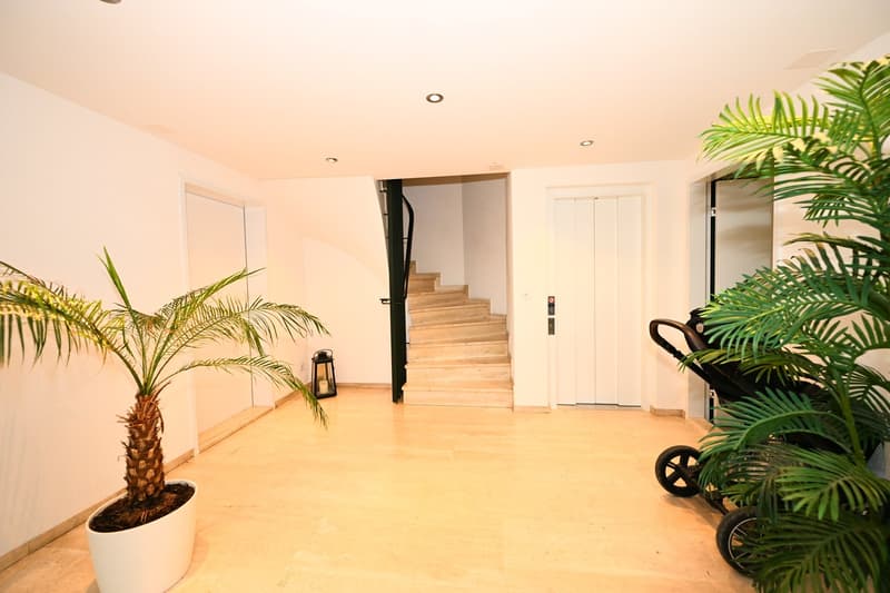 Spacious 5-room apartment with garage in an exclusive location on Bruderholz (14)