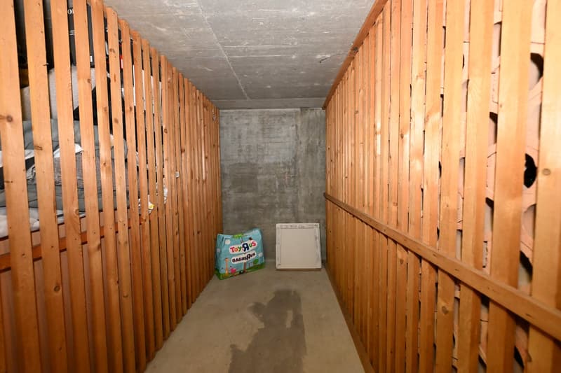 Spacious 5-room apartment with garage in an exclusive location on Bruderholz (20)