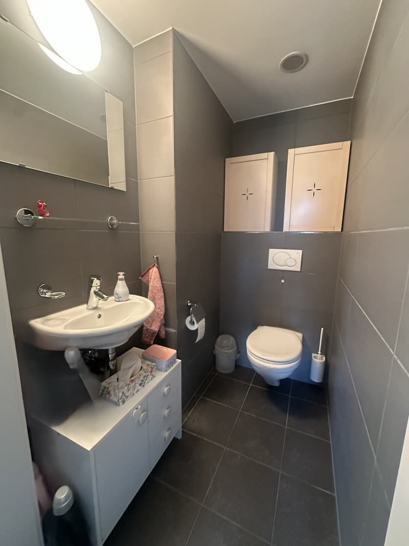 Habitation moderne sur deux étages – appartement maisonnette attractif à Birsfelden (10)