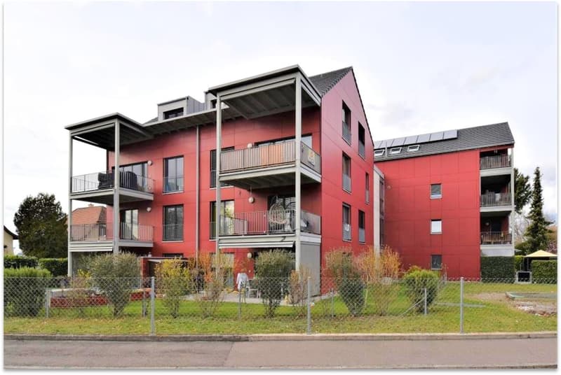Habitation moderne sur deux étages – appartement maisonnette attractif à Birsfelden (1)