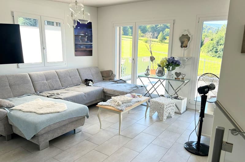 Modern semi-detached house with a far-reaching view and large terrace in Rodersdorf SO (15)